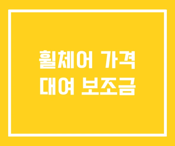 휠체어 가격 대여 보조금