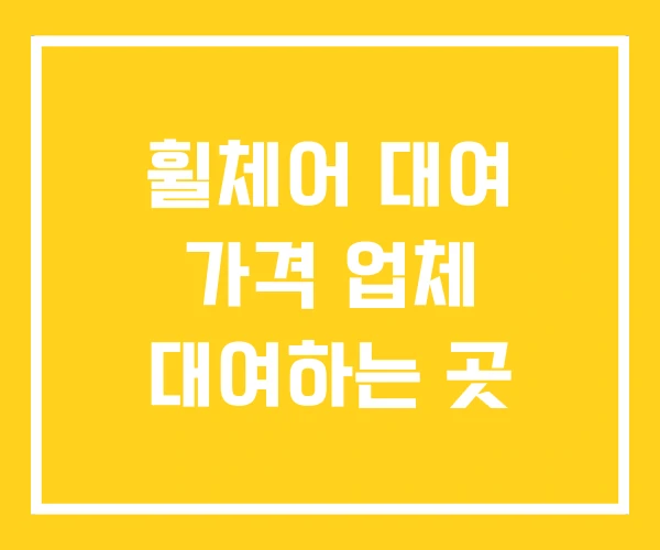 휠체어 대여 가격 업체 대여하는 곳 휠체어 대여 가격 업체 대여하는 곳
