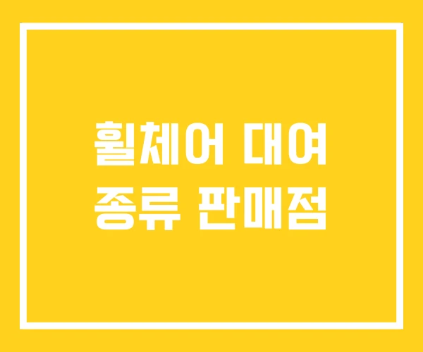 휠체어 대여 종류 판매점