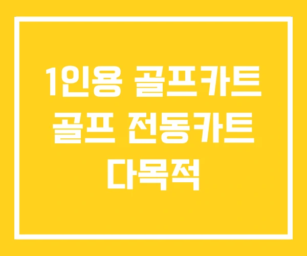 1인용 골프카트 골프 전동카트 다목적