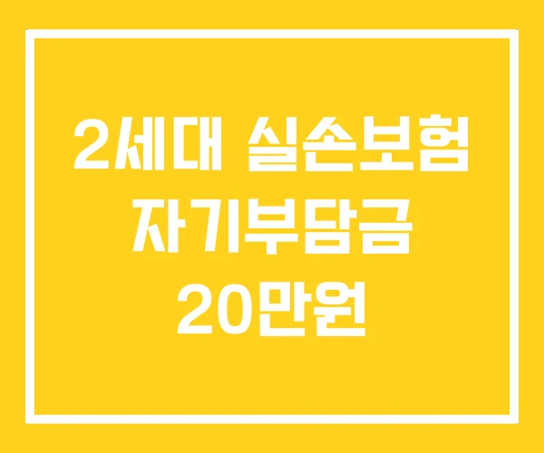 2세대 실손보험 자기부담금 20만원 2세대 실손보험 자기부담금 20만원
