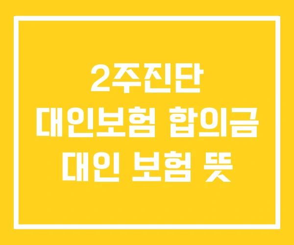 2주진단 대인보험 합의금 대인 보험 뜻