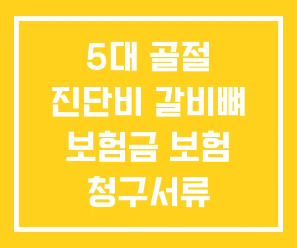 5대 골절 진단비 갈비뼈 보험금 보험 청구서류 5대 골절 진단비 갈비뼈 보험금 보험 청구서류
