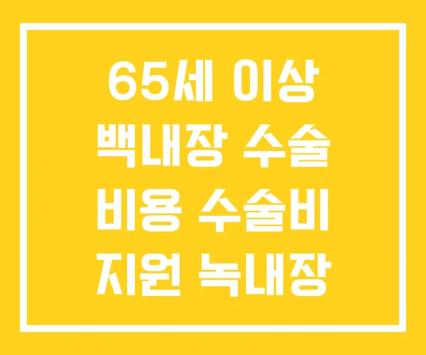 65세 이상 백내장 수술 비용 수술비 지원 녹내장 65세 이상 백내장 수술 비용 수술비 지원 녹내장