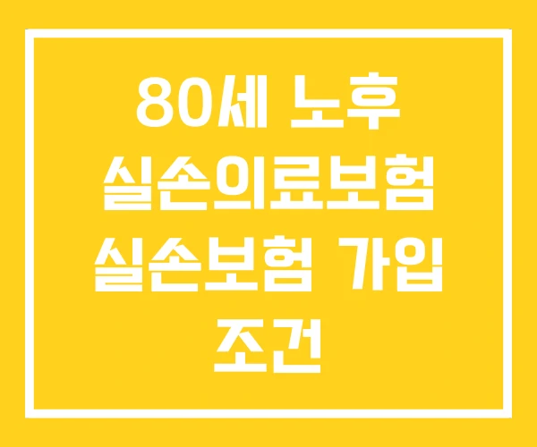 80세 노후 실손의료보험 실손보험 가입 조건 80세 노후 실손의료보험 실손보험 가입 조건
