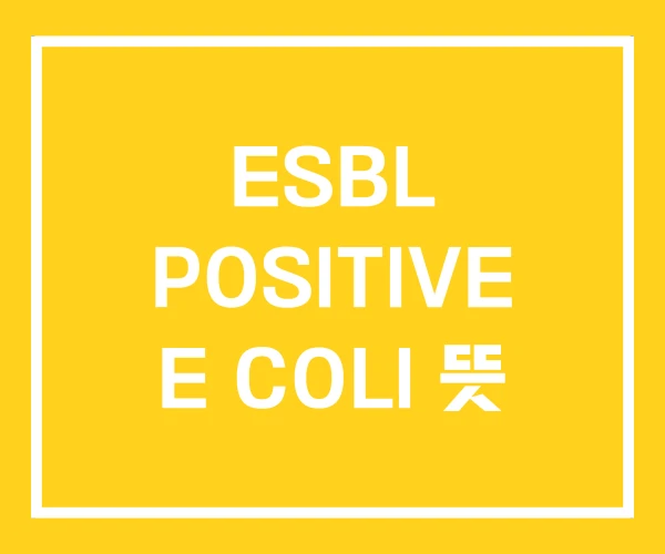 ESBL POSITIVE E COLI 뜻 ESBL POSITIVE E COLI 뜻