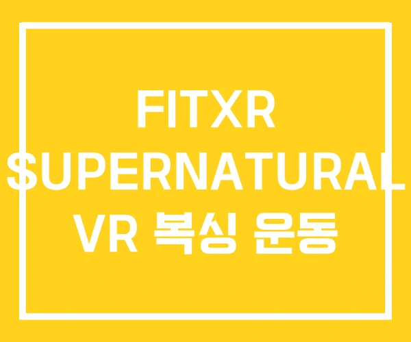 FITXR SUPERNATURAL VR 복싱 운동