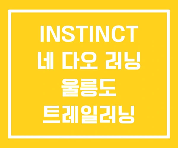 INSTINCT 네 다오 러닝 울릉도 트레일러닝