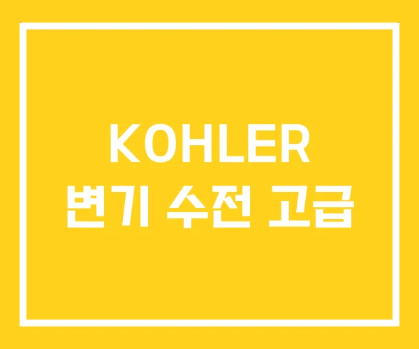 KOHLER 변기 수전 고급 KOHLER 변기 수전 고급