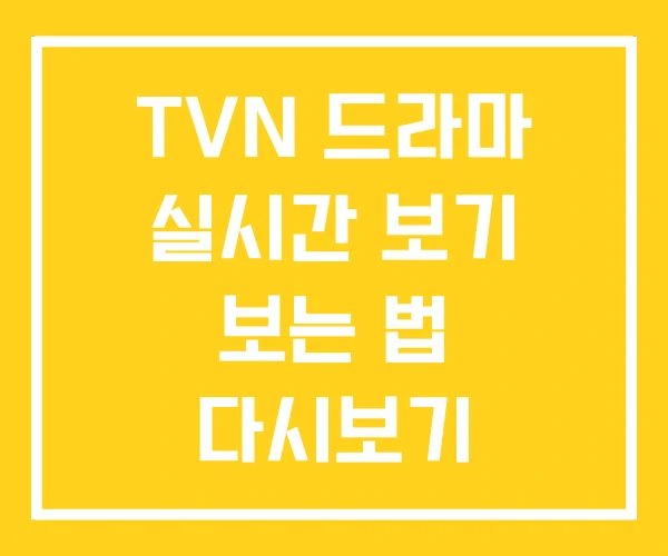 TVN 드라마 실시간 보기 보는 법 다시보기 TVN 드라마 실시간 보기 보는 법 다시보기