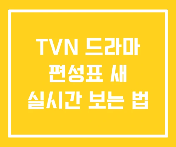 TVN 드라마 편성표 새 실시간 보는 법 TVN 드라마 편성표 새 실시간 보는 법