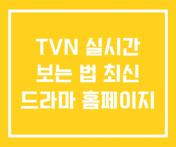 TVN 실시간 보는 법 최신 드라마 홈페이지 TVN 실시간 보는 법 최신 드라마 홈페이지