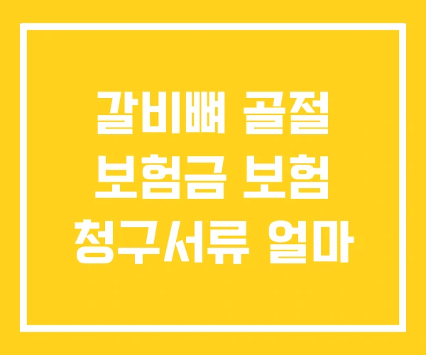 갈비뼈 골절 보험금 보험 청구서류 얼마 갈비뼈 골절 보험금 보험 청구서류 얼마