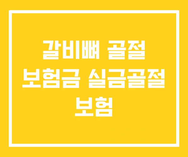 갈비뼈 골절 보험금 실금골절 보험 갈비뼈 골절 보험금 실금골절 보험
