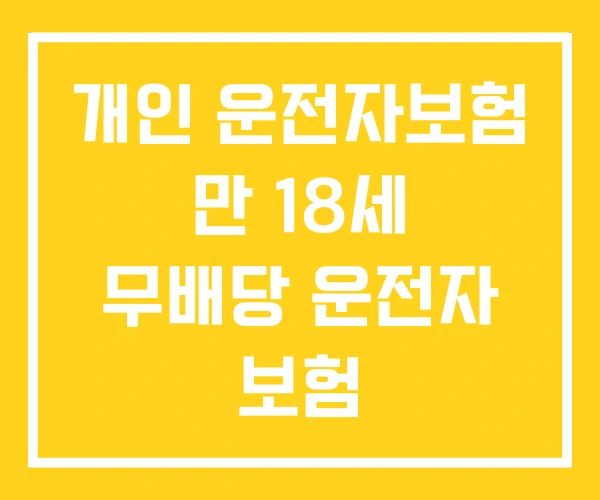 개인 운전자보험 만 18세 무배당 운전자 보험 개인 운전자보험 만 18세 무배당 운전자 보험
