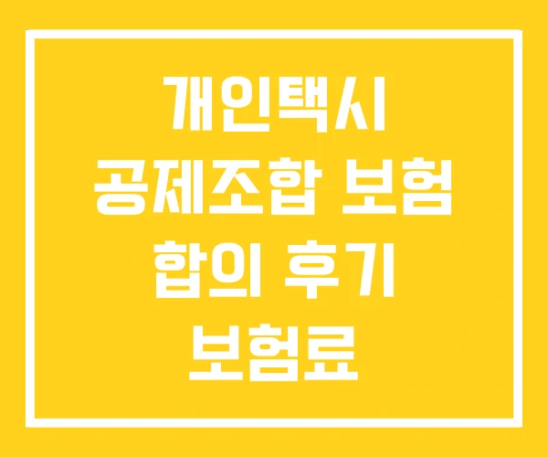 개인택시 공제조합 보험 합의 후기 보험료 개인택시 공제조합 보험 합의 후기 보험료