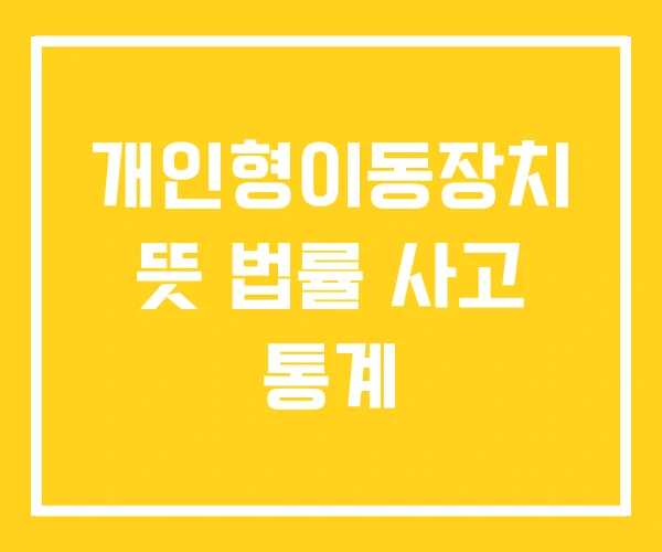 개인형이동장치 뜻 법률 사고 통계