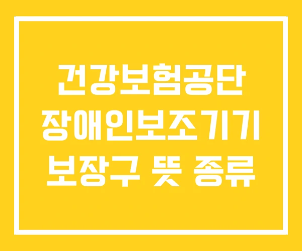 건강보험공단 장애인보조기기 보장구 뜻 종류 건강보험공단 장애인보조기기 보장구 뜻 종류