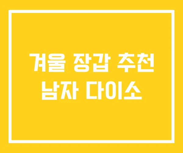 겨울 장갑 추천 남자 다이소 겨울 장갑 추천 남자 다이소