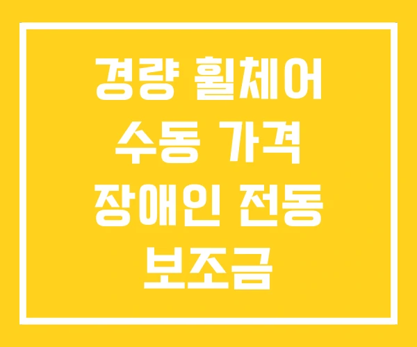 경량 휠체어 수동 가격 장애인 전동 보조금 경량 휠체어 수동 가격 장애인 전동 보조금
