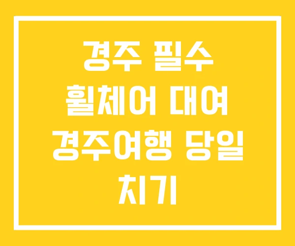 경주 필수 휠체어 대여 경주여행 당일 치기 경주 필수 휠체어 대여 경주여행 당일 치기