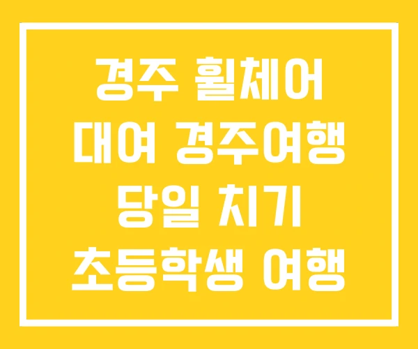 경주 휠체어 대여 경주여행 당일 치기 초등학생 여행 경주 휠체어 대여 경주여행 당일 치기 초등학생 여행