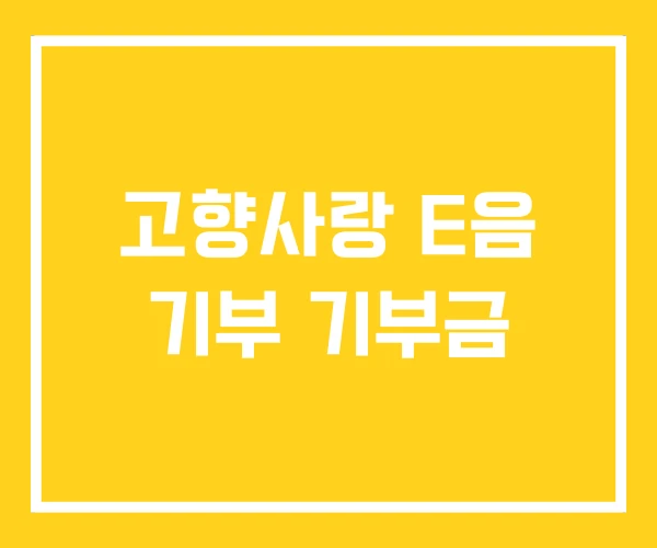 고향사랑 E음 기부 기부금