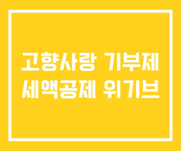 고향사랑 기부제 세액공제 위기브
