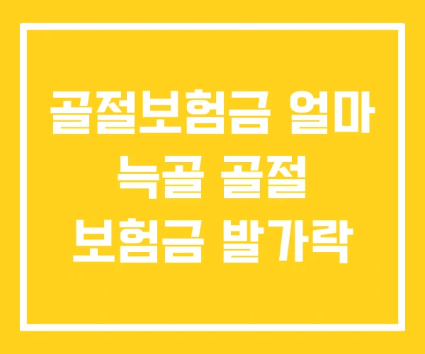 골절보험금 얼마 늑골 골절 보험금 발가락