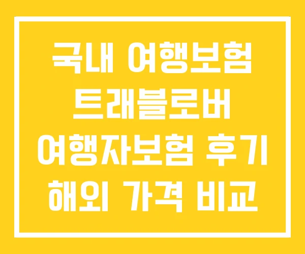 국내 여행보험 트래블로버 여행자보험 후기 해외 가격 비교