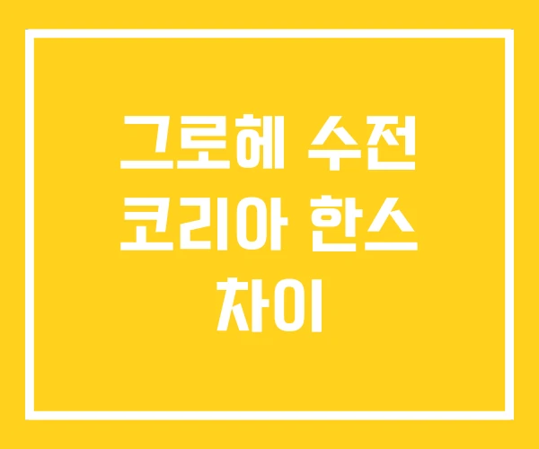 그로헤 수전 코리아 한스 차이 그로헤 수전 코리아 한스 차이