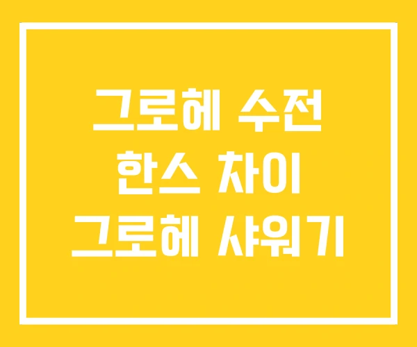 그로헤 수전 한스 차이 그로헤 샤워기 그로헤 수전 한스 차이 그로헤 샤워기