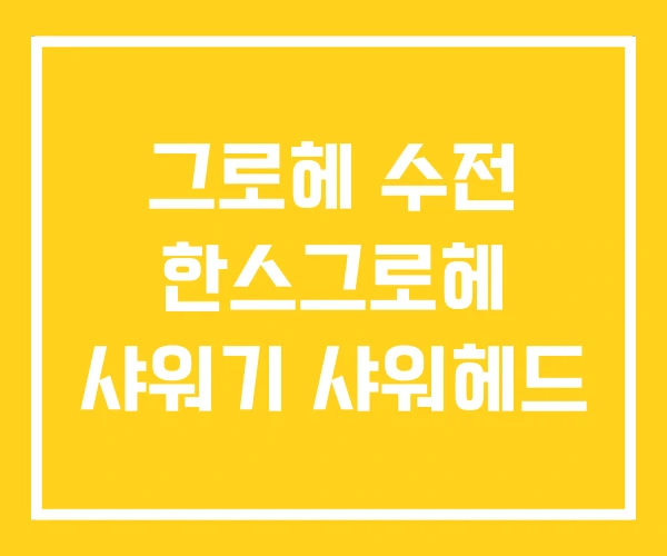 그로헤 수전 한스그로헤 샤워기 샤워헤드 그로헤 수전 한스그로헤 샤워기 샤워헤드