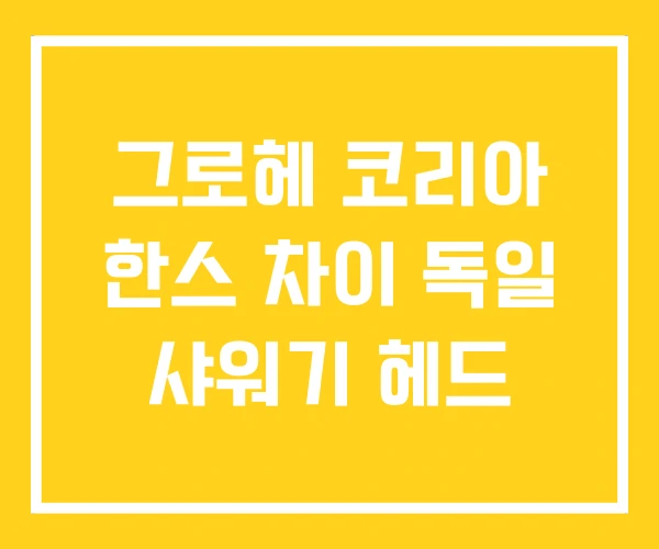 그로헤 코리아 한스 차이 독일 샤워기 헤드