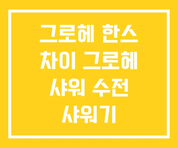 그로헤 한스 차이 그로헤 샤워 수전 샤워기 그로헤 한스 차이 그로헤 샤워 수전 샤워기
