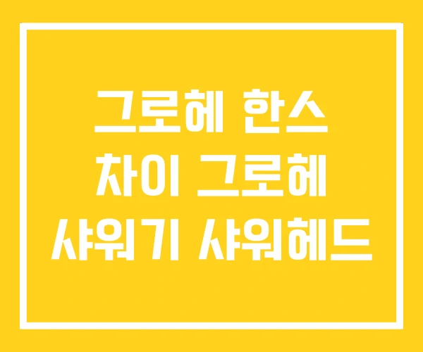 그로헤 한스 차이 그로헤 샤워기 샤워헤드 그로헤 한스 차이 그로헤 샤워기 샤워헤드