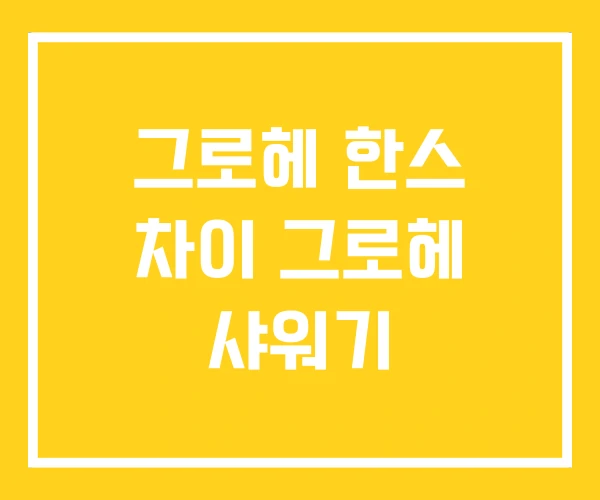 그로헤 한스 차이 그로헤 샤워기 그로헤 한스 차이 그로헤 샤워기