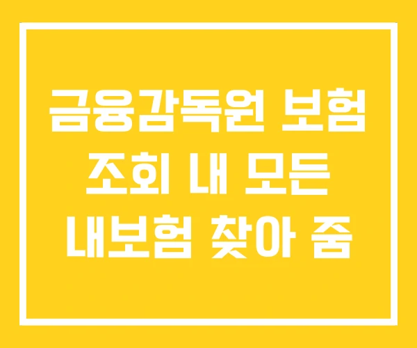 금융감독원 보험 조회 내 모든 내보험 찾아 줌