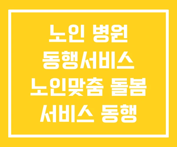 노인 병원 동행서비스 노인맞춤 돌봄 서비스 동행 문제점 노인 병원 동행서비스 노인맞춤 돌봄 서비스 동행 문제점