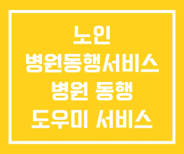 노인 병원동행서비스 병원 동행 도우미 서비스 문제점
