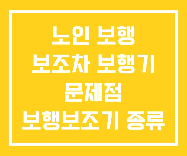 노인 보행 보조차 보행기 문제점 보행보조기 종류 노인 보행 보조차 보행기 문제점 보행보조기 종류