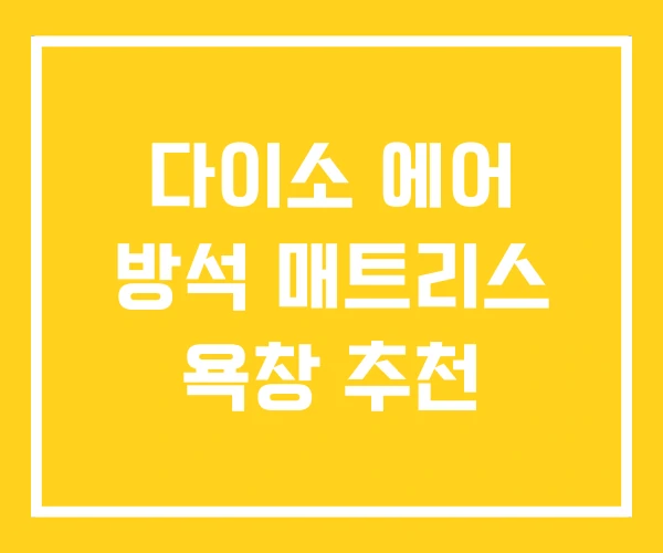 다이소 에어 방석 매트리스 욕창 추천 다이소 에어 방석 매트리스 욕창 추천