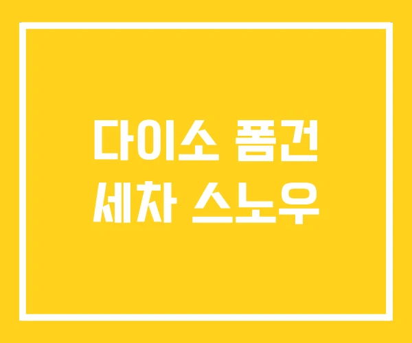 다이소 폼건 세차 스노우