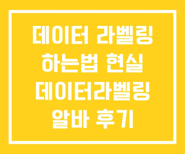 데이터 라벨링 하는법 현실 데이터라벨링 알바 후기 데이터 라벨링 하는법 현실 데이터라벨링 알바 후기