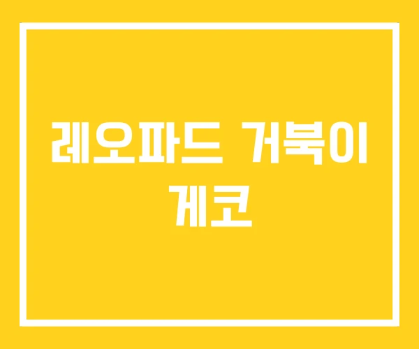 레오파드 거북이 게코 레오파드 거북이 게코