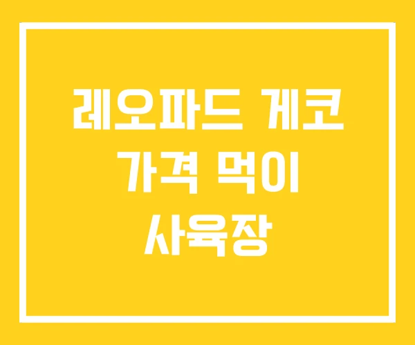 레오파드 게코 가격 먹이 사육장 레오파드 게코 가격 먹이 사육장