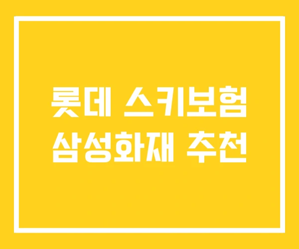 롯데 스키보험 삼성화재 추천 롯데 스키보험 삼성화재 추천