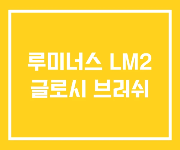 루미너스 LM2 글로시 브러쉬 루미너스 LM2 글로시 브러쉬