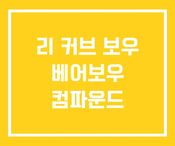 리 커브 보우 베어보우 컴파운드 리 커브 보우 베어보우 컴파운드
