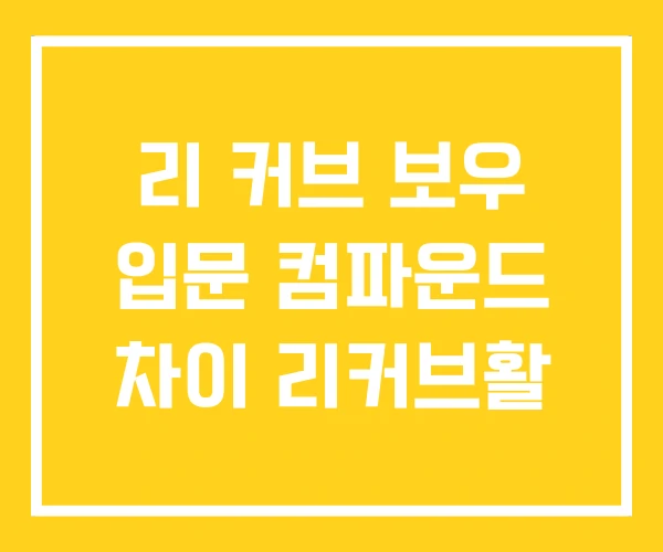 리 커브 보우 입문 컴파운드 차이 리커브활 리 커브 보우 입문 컴파운드 차이 리커브활